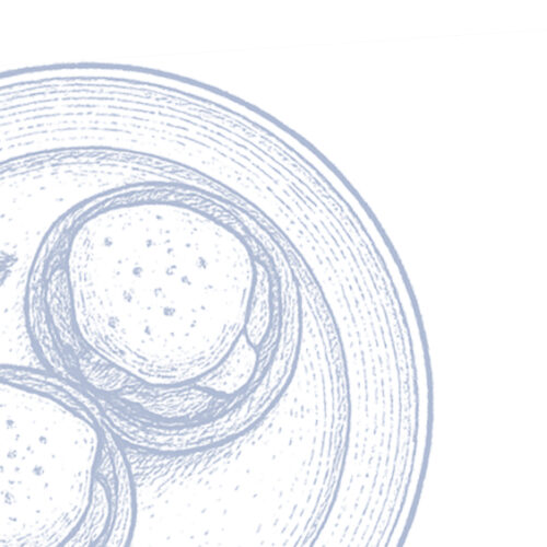 Food Illustration