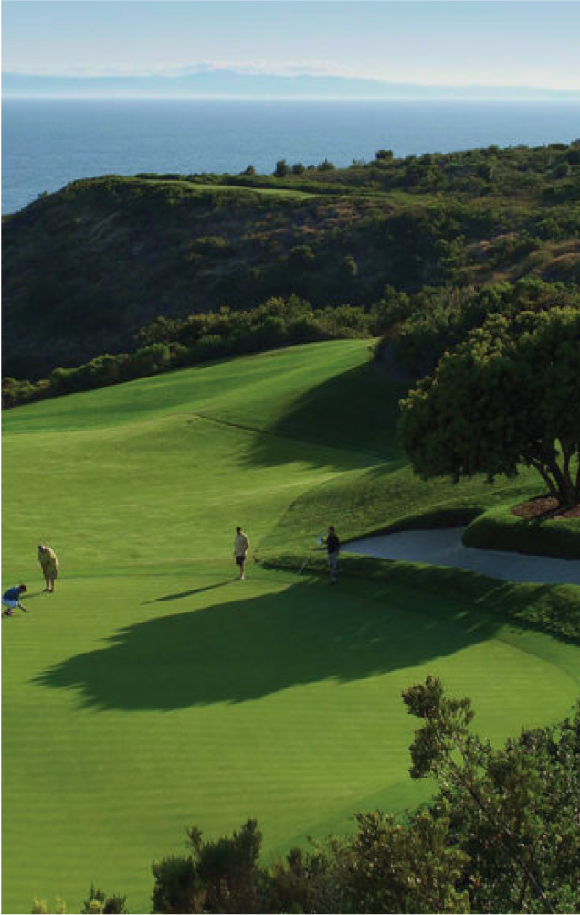GOLF Pelican Hil Golf Course